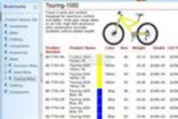 WPF Viewer for Reporting Services预览：WPF Viewer for Reporting Services效果预览